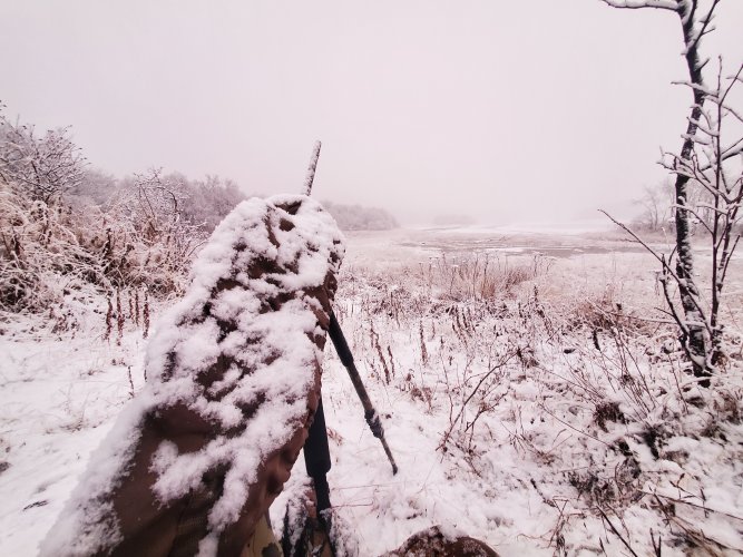 20211105_094345.jpg 20211105_094345.jpg