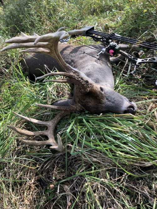 2021 2nd Buck 1.jpeg