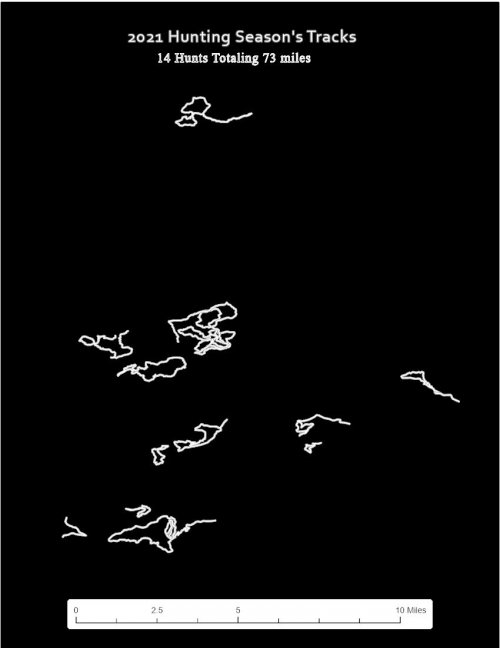 2021Tracks.jpg 2021Tracks.jpg