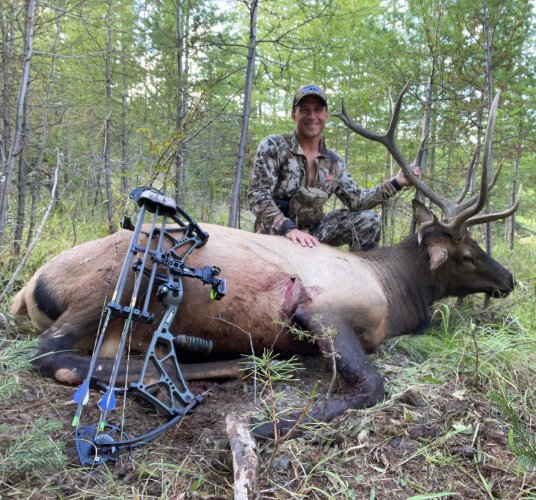 Elk.jpg