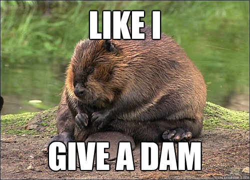 beaver.jpg beaver.jpg