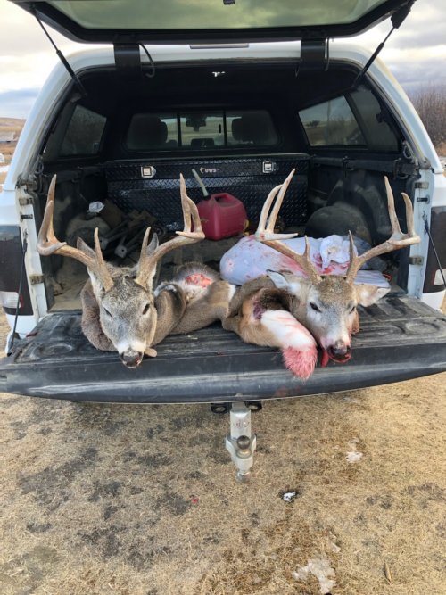 deerhunt21.jpg deerhunt21.jpg