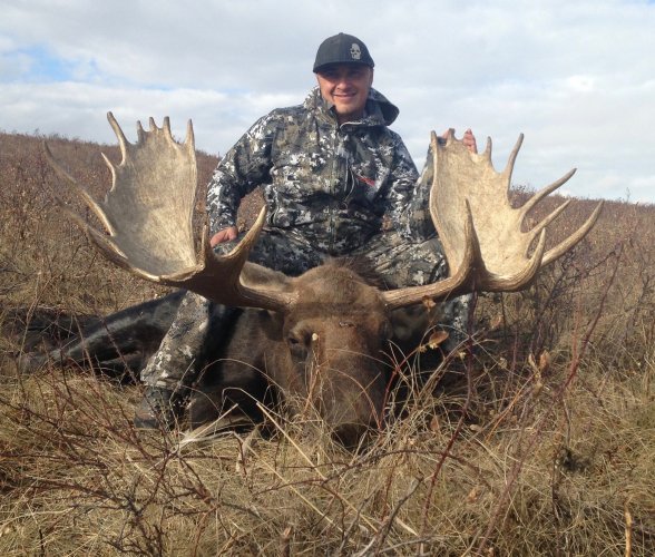 moose 2.jpg moose 2.jpg