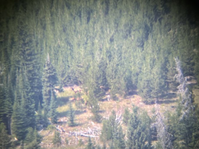 IMG-1364.jpg IMG-1364.jpg