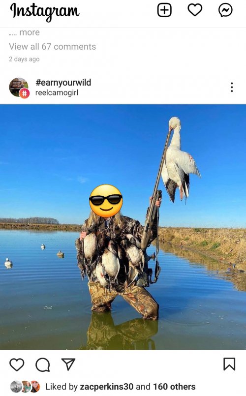 Screenshot_20211202-184656_Instagram.jpg