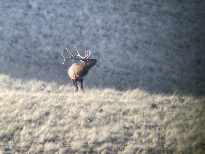 IMG_1707.JPEG