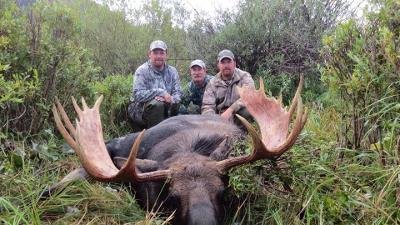Moose bow 2013.jpg Moose bow 2013.jpg