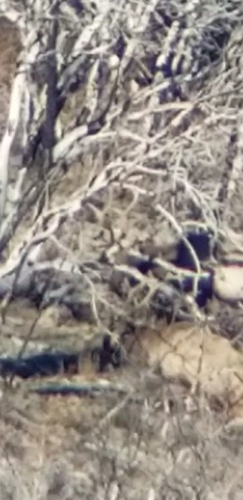 Screenshot_20211205-225832_Video Player.jpg