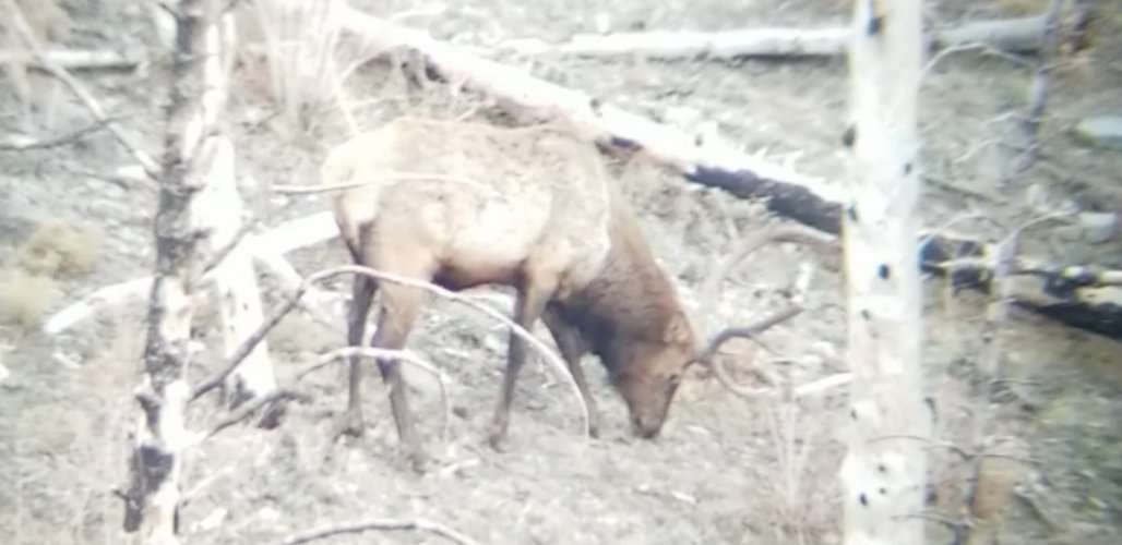 Screenshot_20211206-002645_Video Player.jpg