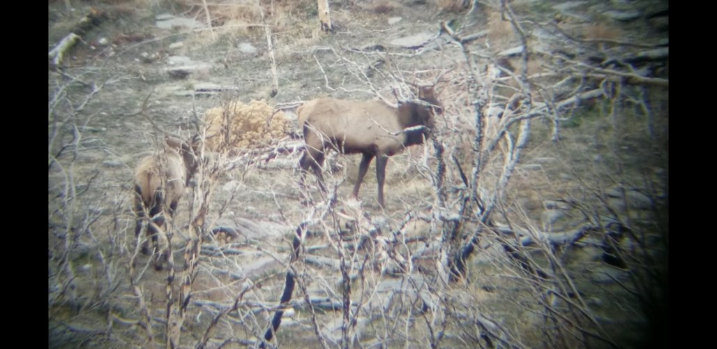 Screenshot_20211206-002753_Video Player.jpg