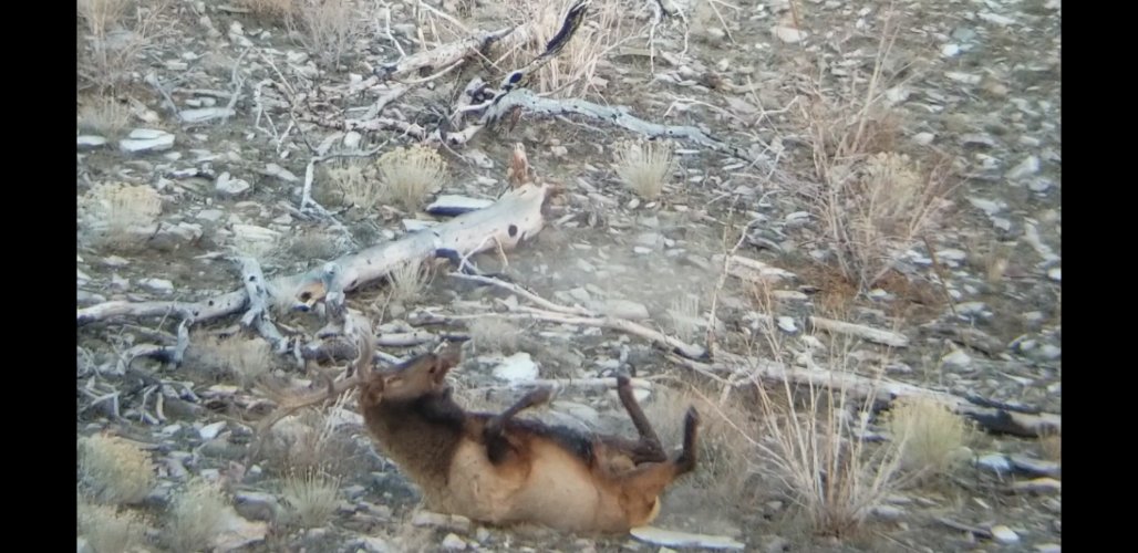 Screenshot_20211206-023724_Video Player.jpg