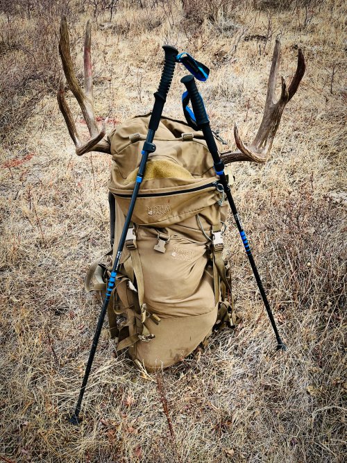 dead deer-1.jpg dead deer-1.jpg