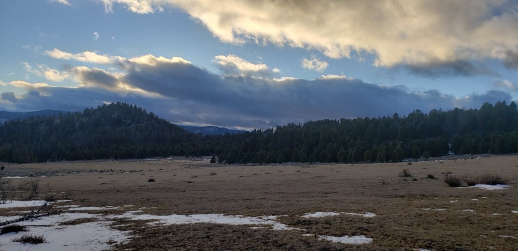 20211126_160432.jpg 20211126_160432.jpg