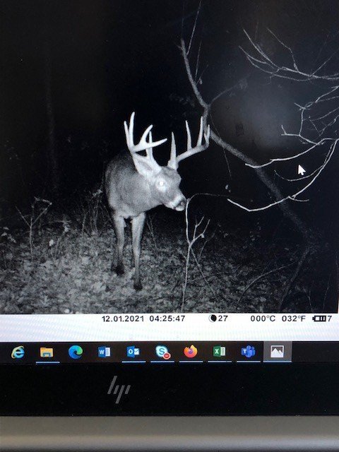 10pt.jpg 10pt.jpg