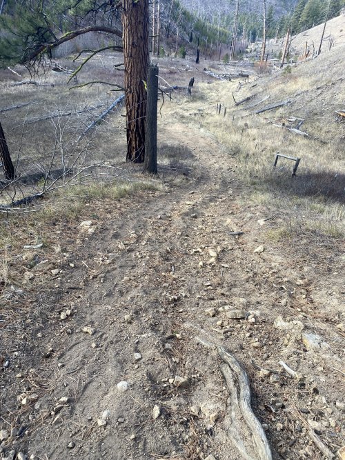 21-11-27 11-05-10 0268.jpg 21-11-27 11-05-10 0268.jpg