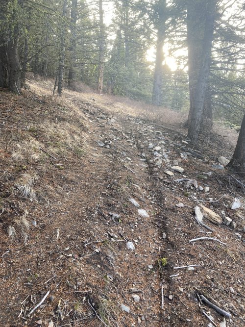 21-11-27 10-09-07 0266.jpg 21-11-27 10-09-07 0266.jpg