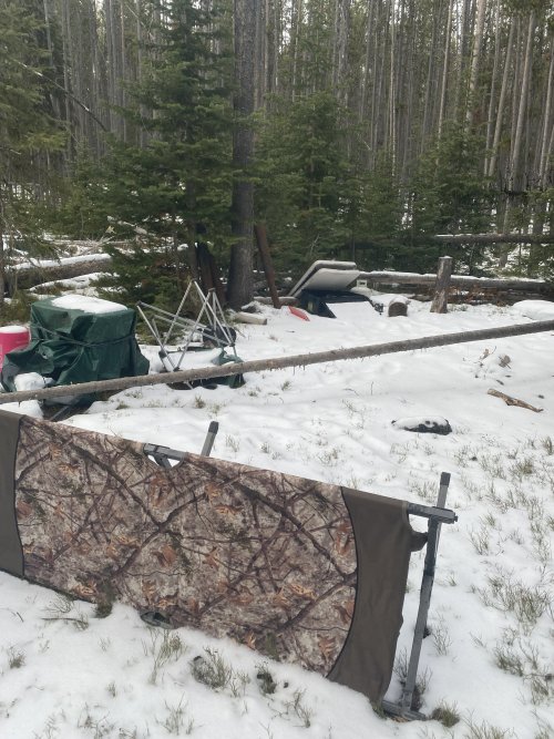 21-11-27 08-30-43 0264.jpg 21-11-27 08-30-43 0264.jpg