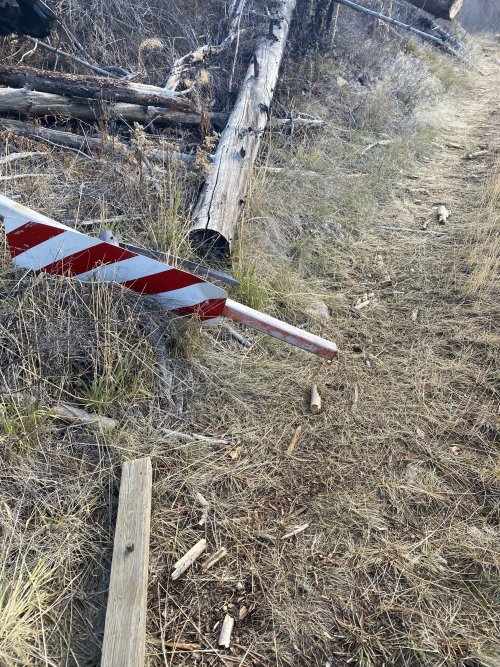 21-11-27 11-09-30 0269.jpg 21-11-27 11-09-30 0269.jpg