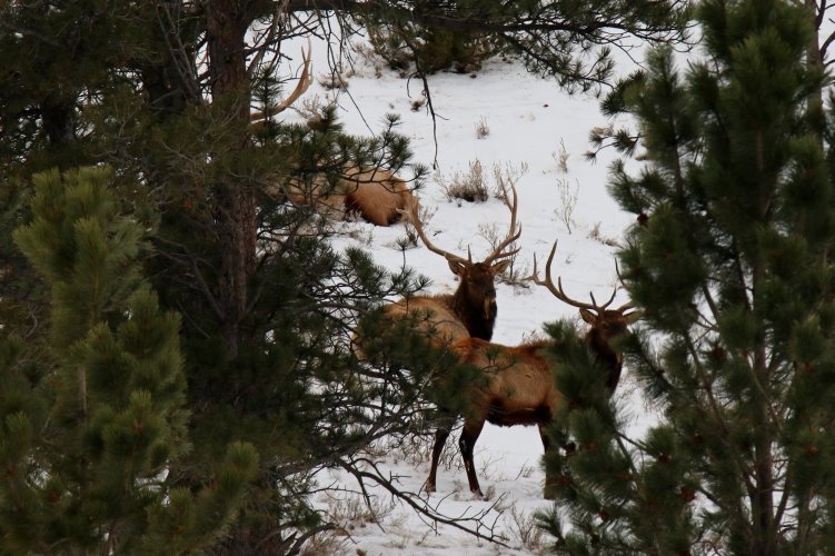 MT Muzzy Opener 2021 (2).jpg