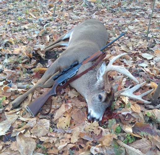 buck 35 pump.jpg buck 35 pump.jpg