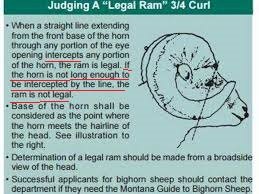 ram.jpeg ram.jpeg