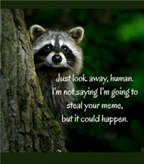 FGR_CKZXoAIFXos.jpg FGR_CKZXoAIFXos.jpg