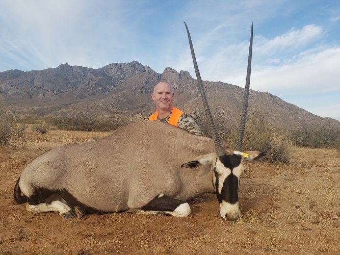 Oryx.jpg Oryx.jpg
