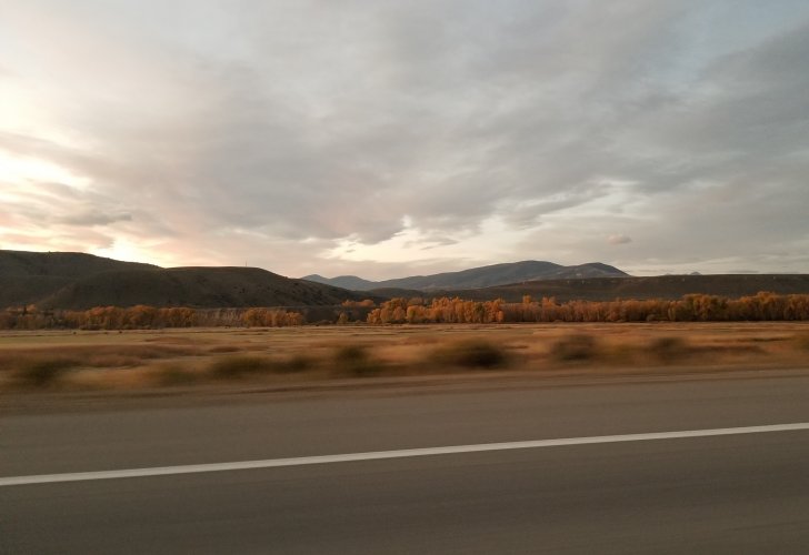 Cottonwoods.jpg Cottonwoods.jpg
