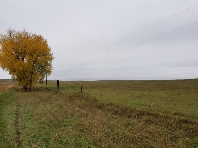 20211009_142114.jpg 20211009_142114.jpg