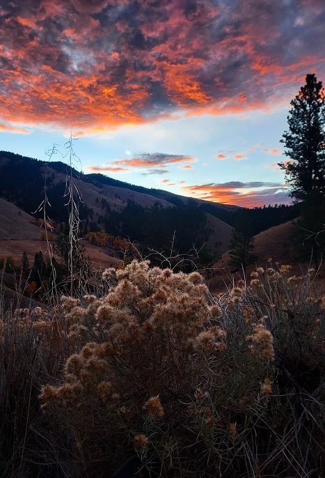 Sage Brush Sunrise.jpg