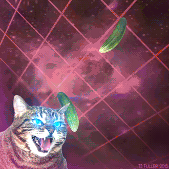 1640738832282.gif