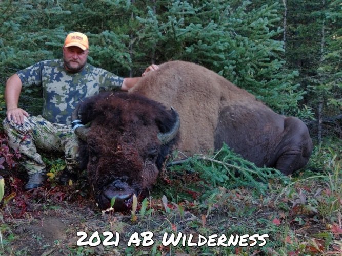 21 bison.jpeg