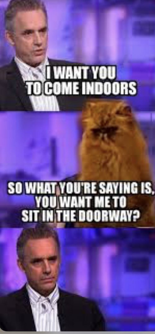 0ABA08F7-25FF-4CCF-AD95-7D68464EBD47.jpeg 0ABA08F7-25FF-4CCF-AD95-7D68464EBD47.jpeg