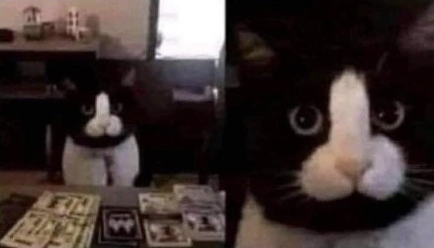 95BEDD55-2855-436E-835A-B38E3555B935.jpeg 95BEDD55-2855-436E-835A-B38E3555B935.jpeg