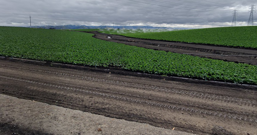 1640879923634.png 1640879923634.png