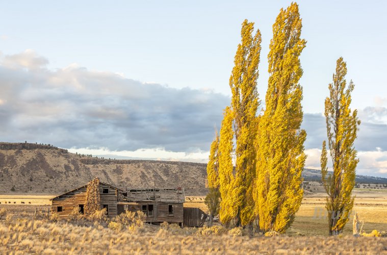 Old Building a October 2014  4 merge.JPG