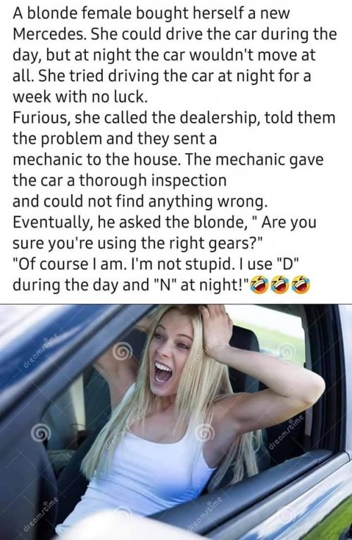 blonddriver.jpg