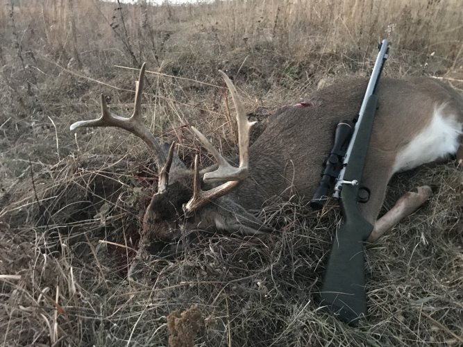 IMG_8493.jpg IMG_8493.jpg