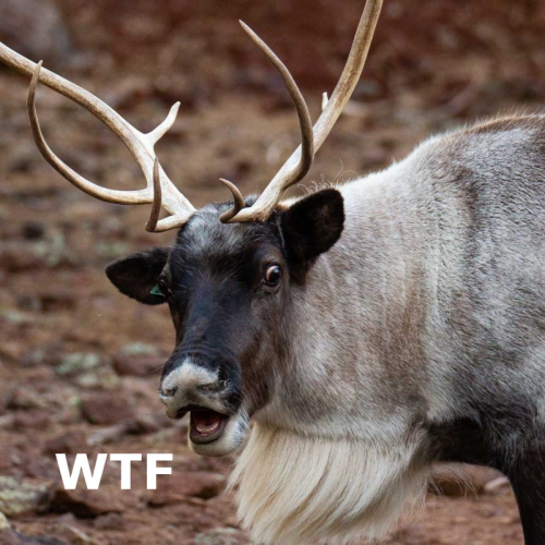 1641562896085.png 1641562896085.png