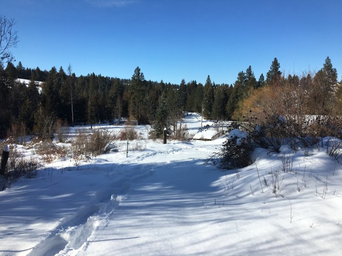 IMG_0832.JPG IMG_0832.JPG