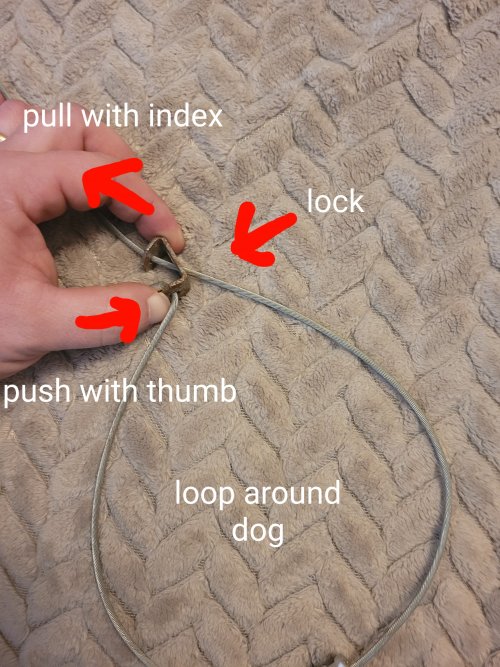 Cable cutter for Snares?