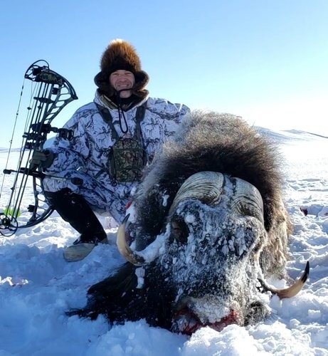 Muskox.jpg Muskox.jpg