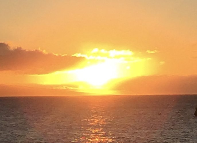 6DC2AF3C-1ABC-48A6-8707-F1D236F4EC1C.jpeg 6DC2AF3C-1ABC-48A6-8707-F1D236F4EC1C.jpeg