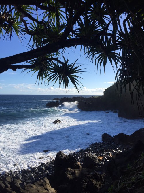 63FD5021-861C-48F4-B50D-FE6F2B3B2EF1.jpeg 63FD5021-861C-48F4-B50D-FE6F2B3B2EF1.jpeg