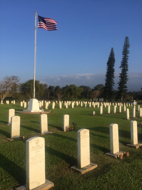 2A12E310-C0B5-4716-83E0-F95B7422B6DA.jpeg 2A12E310-C0B5-4716-83E0-F95B7422B6DA.jpeg