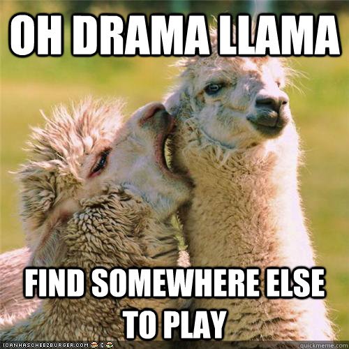 drama_llama.jpg