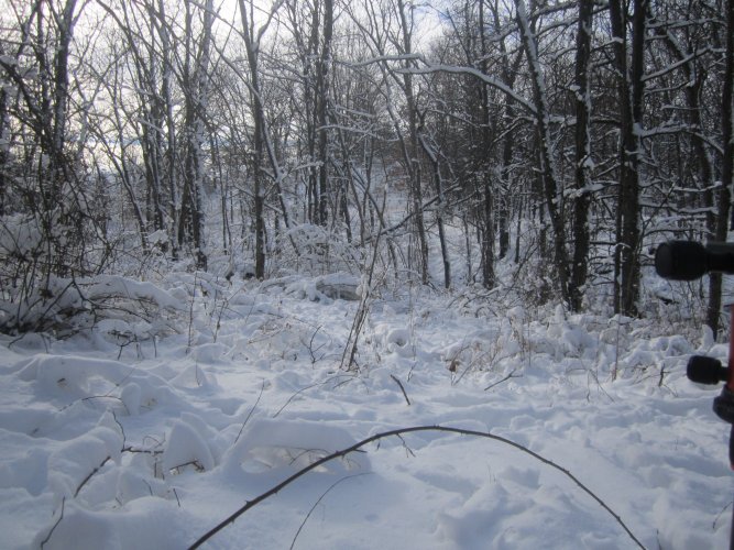 IMG_1414.JPG IMG_1414.JPG