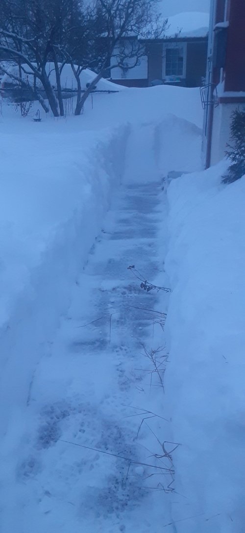 20220118_173512.jpg