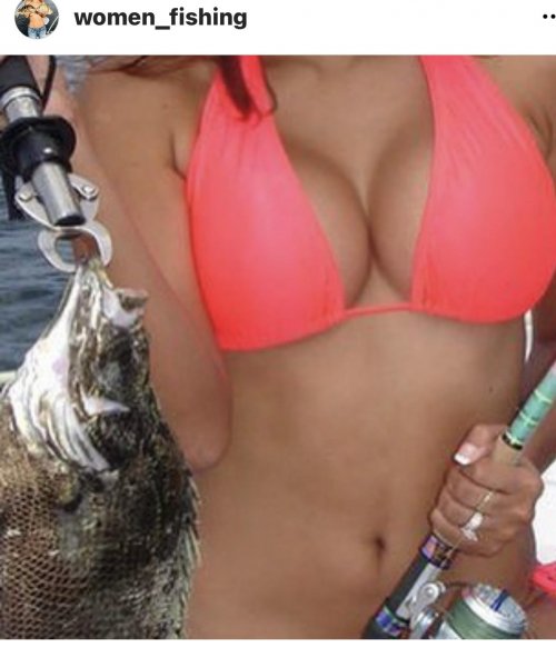 big fish.jpg big fish.jpg
