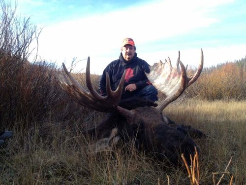 charlies bull.jpg charlies bull.jpg